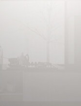 Lacquer Ash