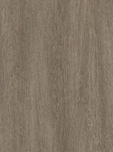 Flat panel cabinet door with light brown wood grain finish from the Deluxe Series.